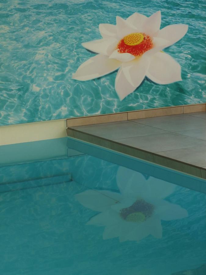 B&B Vita Roka met extra Luxe Privé Wellness Ursel Esterno foto